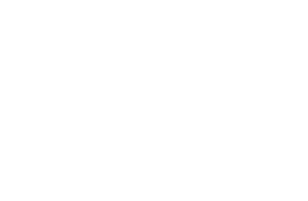 GEOMEDA Engineering Srl